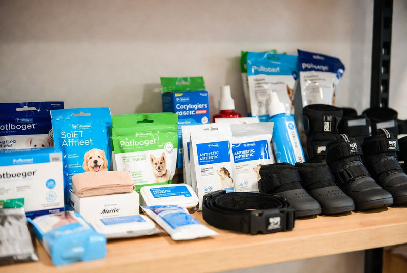 Healthcare & Protection