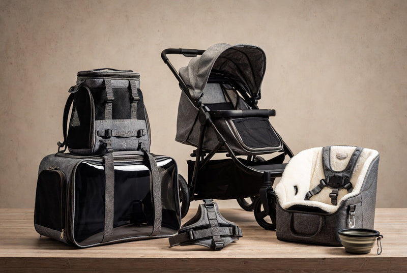 Travel & Outdoor Gear