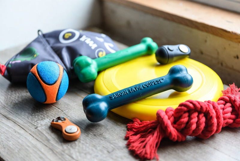 Toys & Training