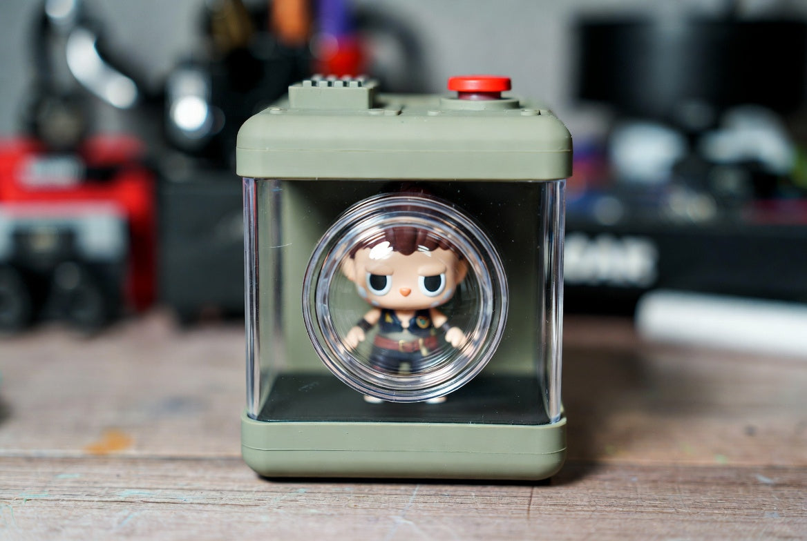 Designer Blind Box Series